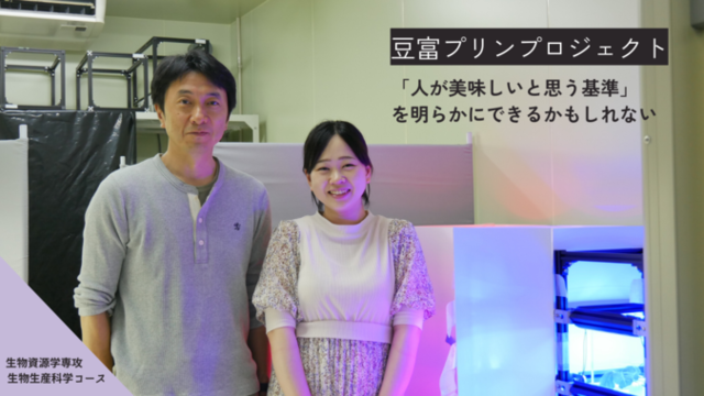 豆富プリンサムネイル_Youtube.png